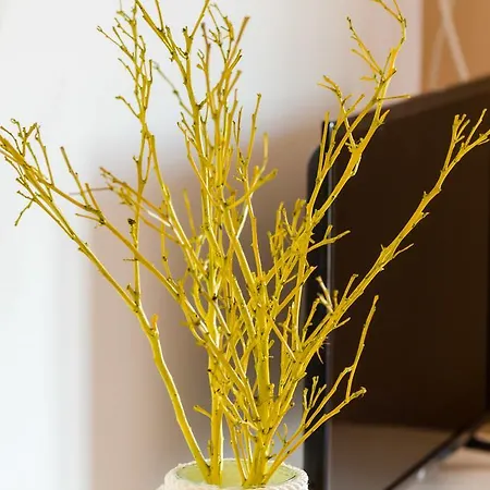 Plavac Mali * Dubrovnik