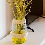 Apartman Plavac Mali *