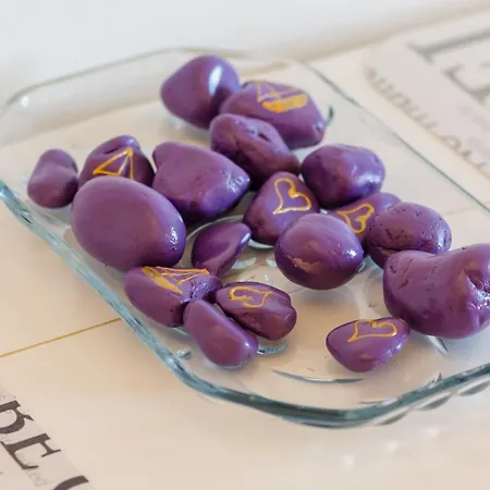 Plavac Mali Apartament