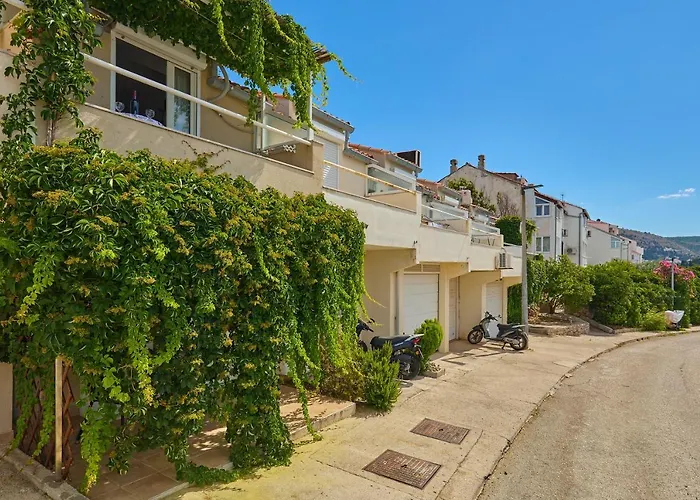 Plavac Mali 杜布罗夫尼克