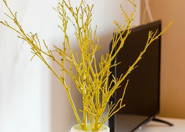 Plavac Mali * 杜布罗夫尼克