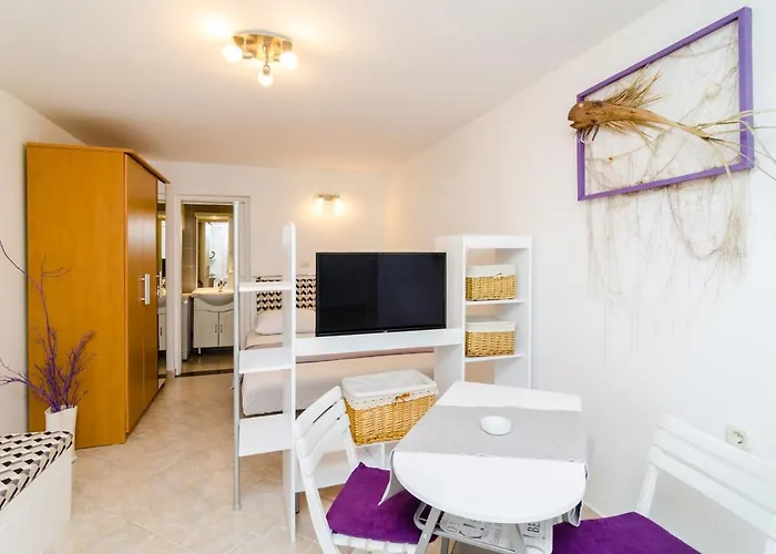 公寓 Plavac Mali *